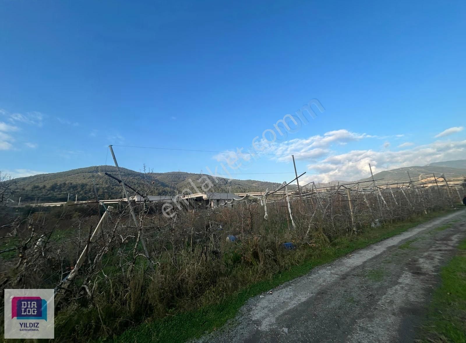Dialog Yıldız/acil Gürsu Kazıklı 2 Parsel Satılık Meyve Bahçesi - Görsel 2