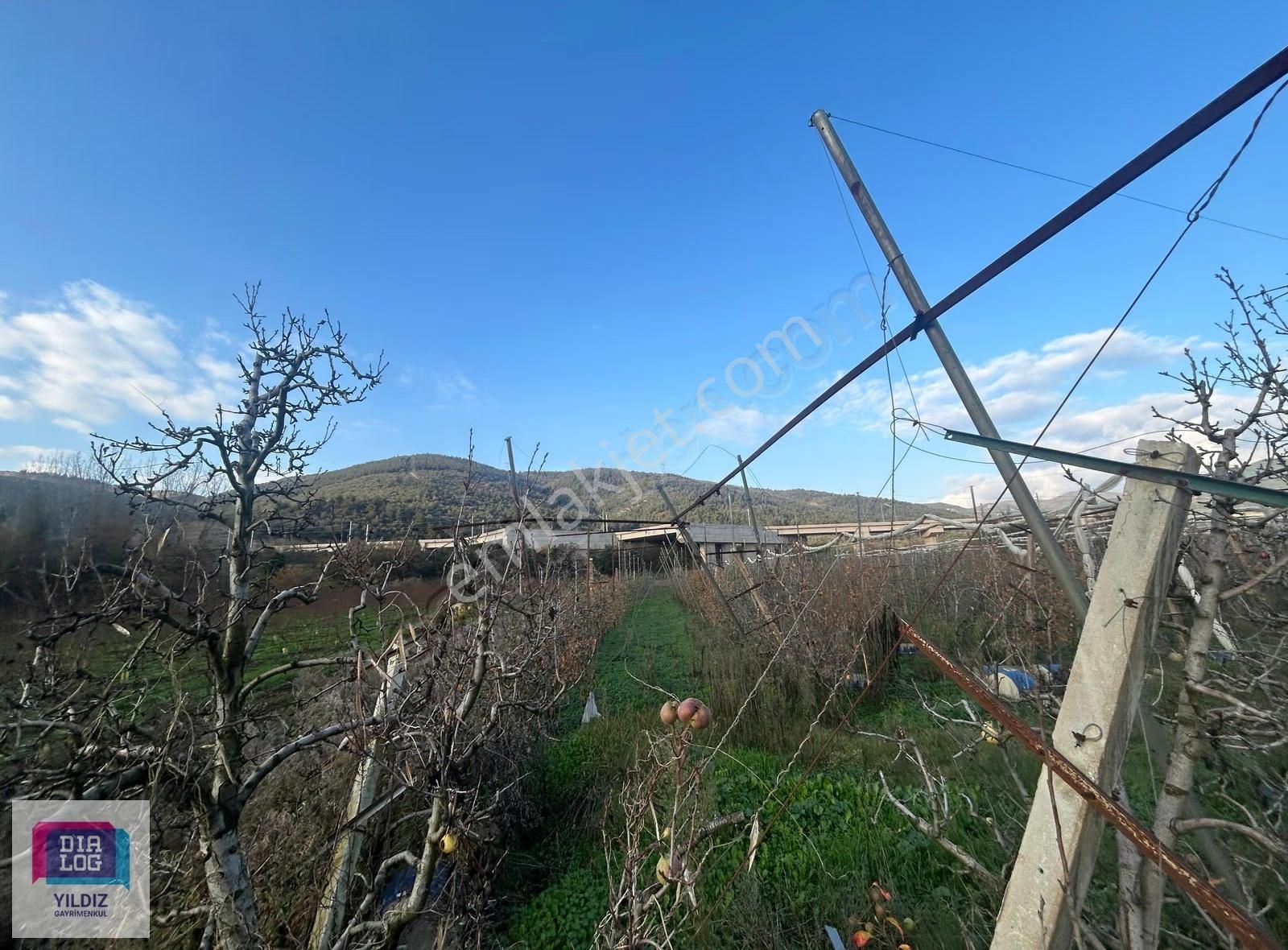 Dialog Yıldız/acil Gürsu Kazıklı 2 Parsel Satılık Meyve Bahçesi - Görsel 7