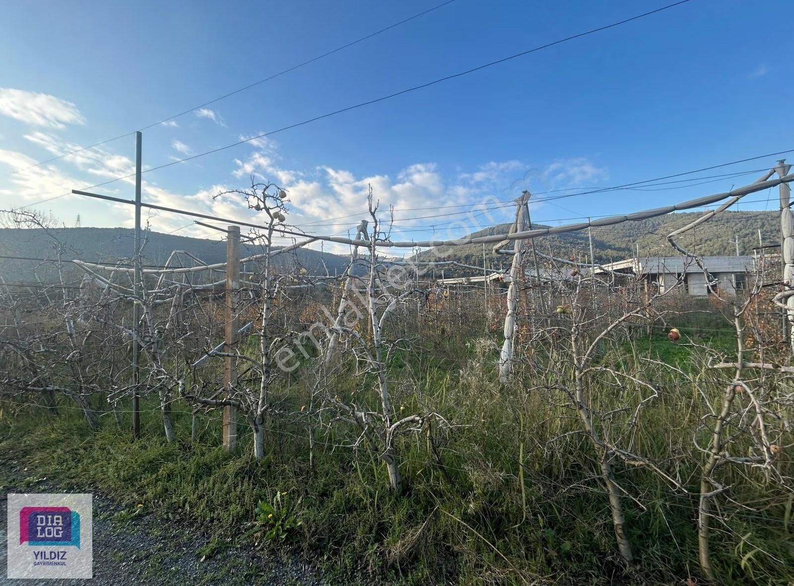 Dialog Yıldız/acil Gürsu Kazıklı 2 Parsel Satılık Meyve Bahçesi - Görsel 8