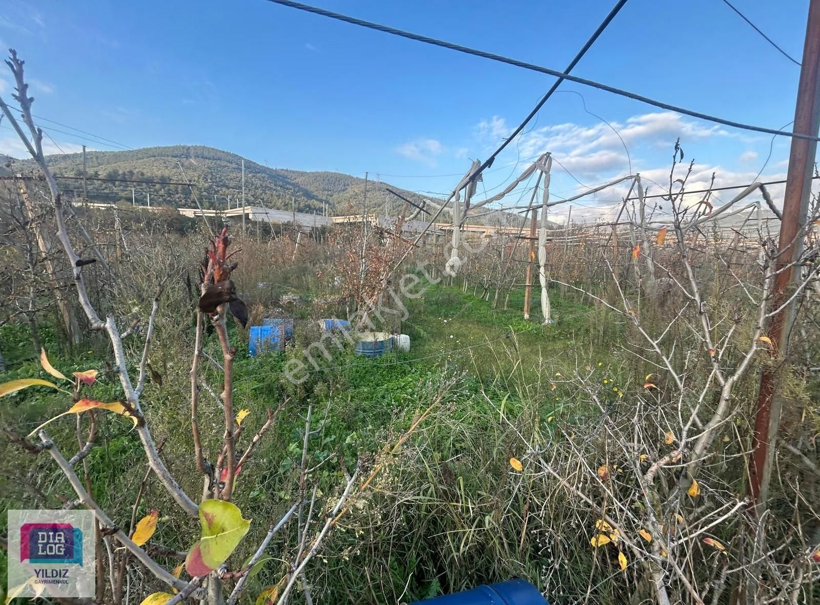Dialog Yıldız/acil Gürsu Kazıklı 2 Parsel Satılık Meyve Bahçesi - Görsel 9