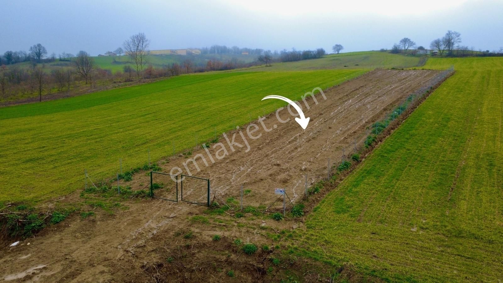 İzmit Kulmahmut Köye Yakın 1278 M2 Satılık Tarla - Görsel 8