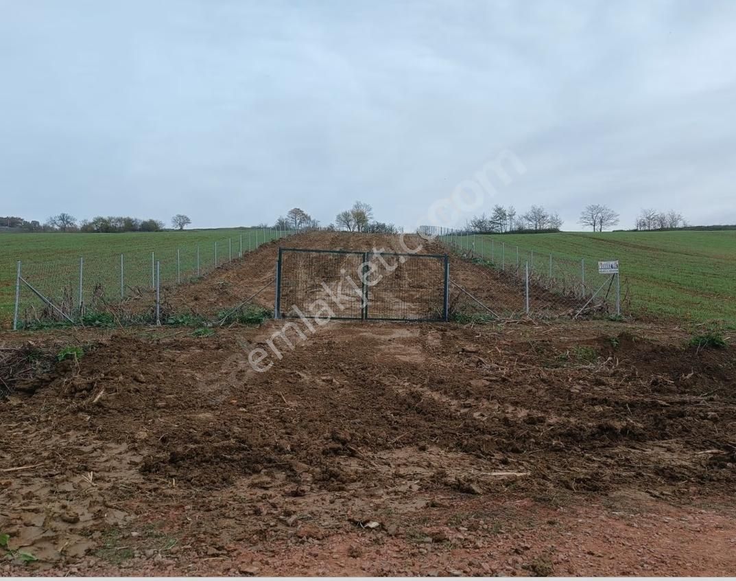 İzmit Kulmahmut Köye Yakın 1278 M2 Satılık Tarla - Görsel 12