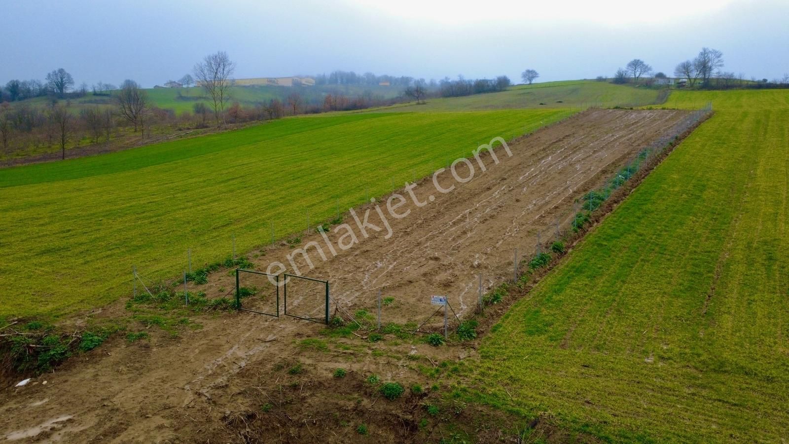 İzmit Kulmahmut Köye Yakın 1278 M2 Satılık Tarla - Görsel 15