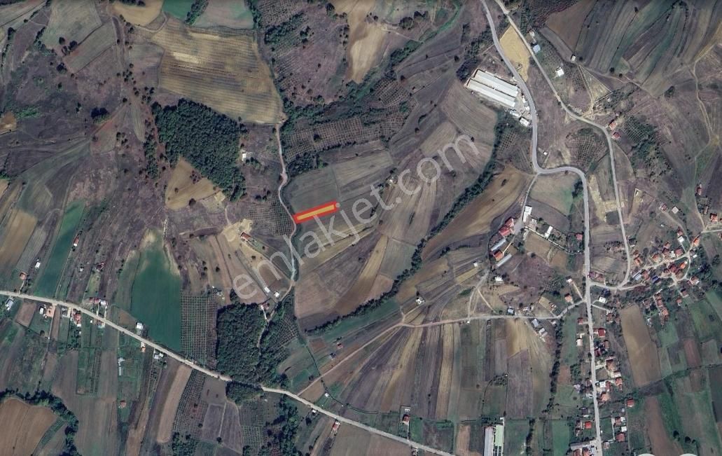 İzmit Kulmahmut Köye Yakın 1278 M2 Satılık Tarla - Görsel 7