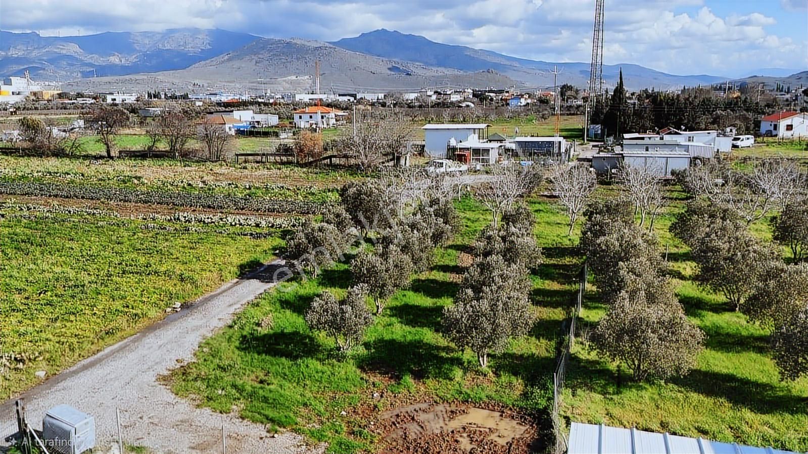 Menemen Türkelli'de Satılık Zeytinli Bağ - Görsel 11
