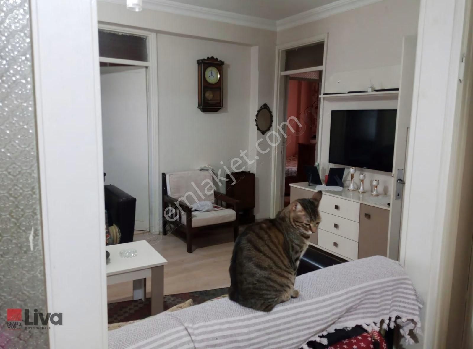 Anafartalar Cd.üzeri Kasaplar Cami Yanı Masrafsız 2+1 - Görsel 35