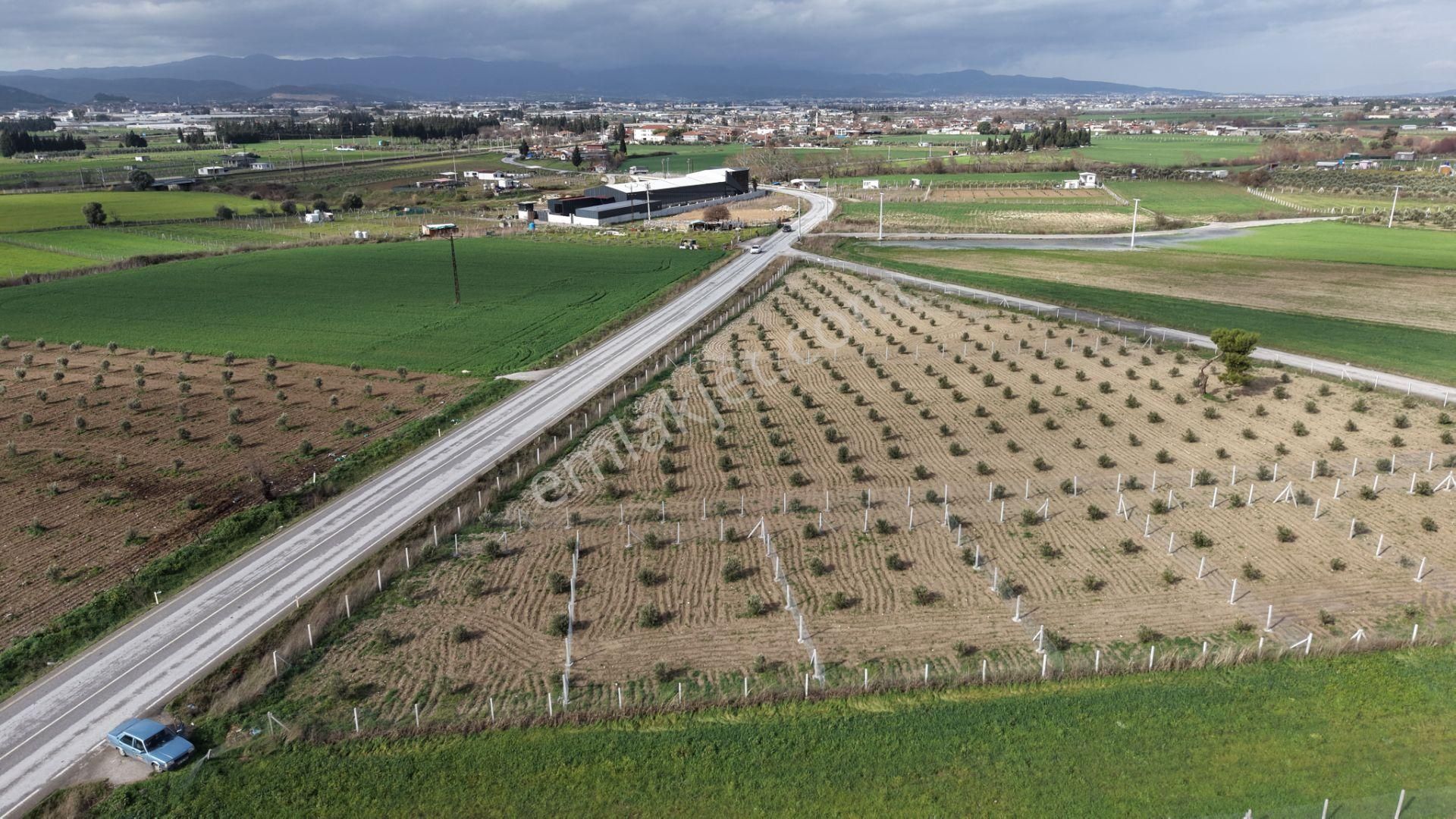 Tekelide Anayol Cepheli Satılık Tapulu 260 M2 İzbana Yakın Bahçeler - Görsel 15