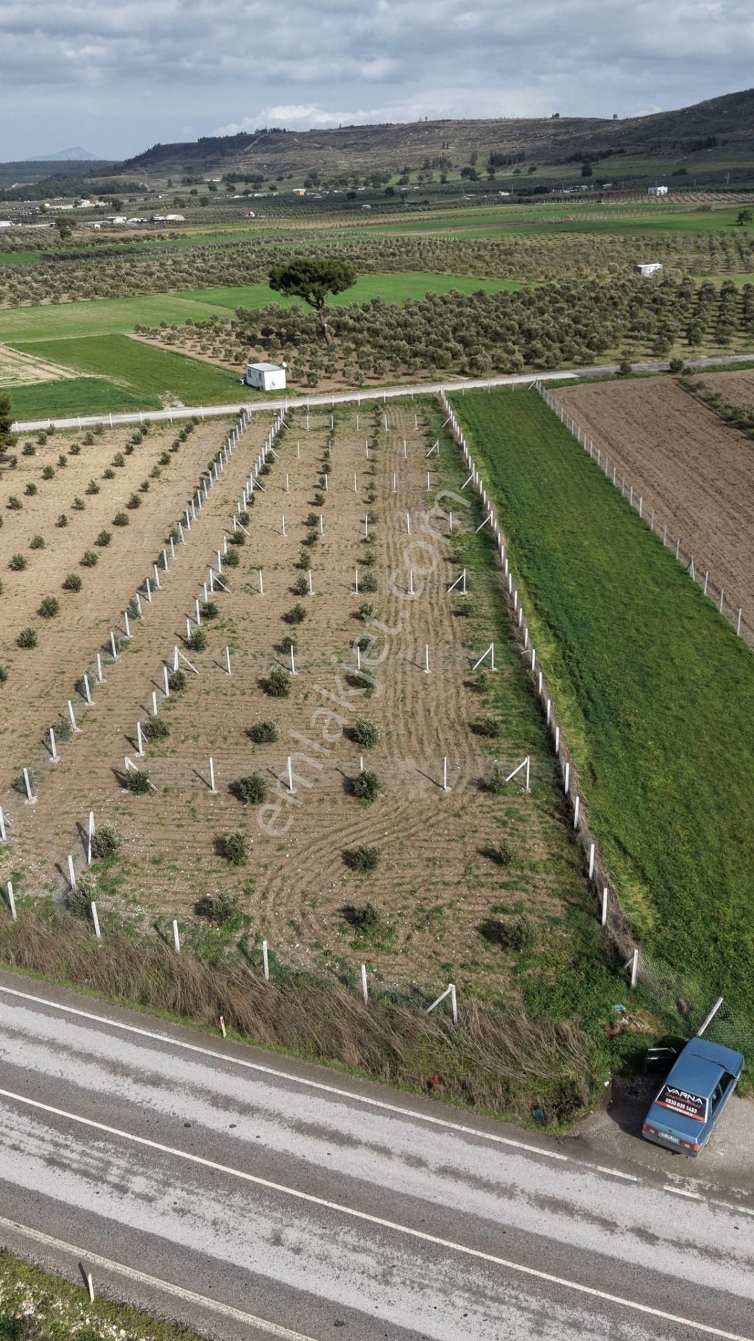 Tekelide Anayol Cepheli Satılık Tapulu 260 M2 İzbana Yakın Bahçeler - Görsel 18