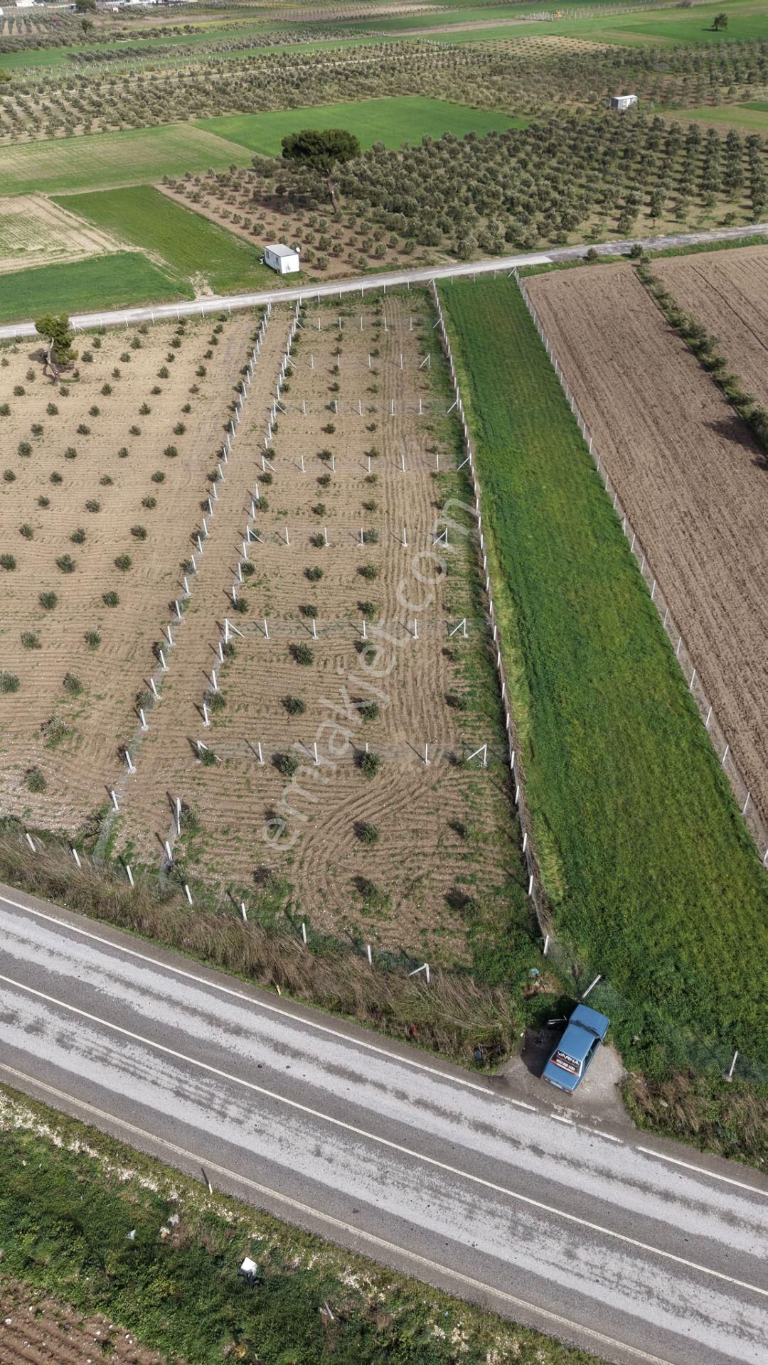 Tekelide Anayol Cepheli Satılık Tapulu 260 M2 İzbana Yakın Bahçeler - Görsel 19