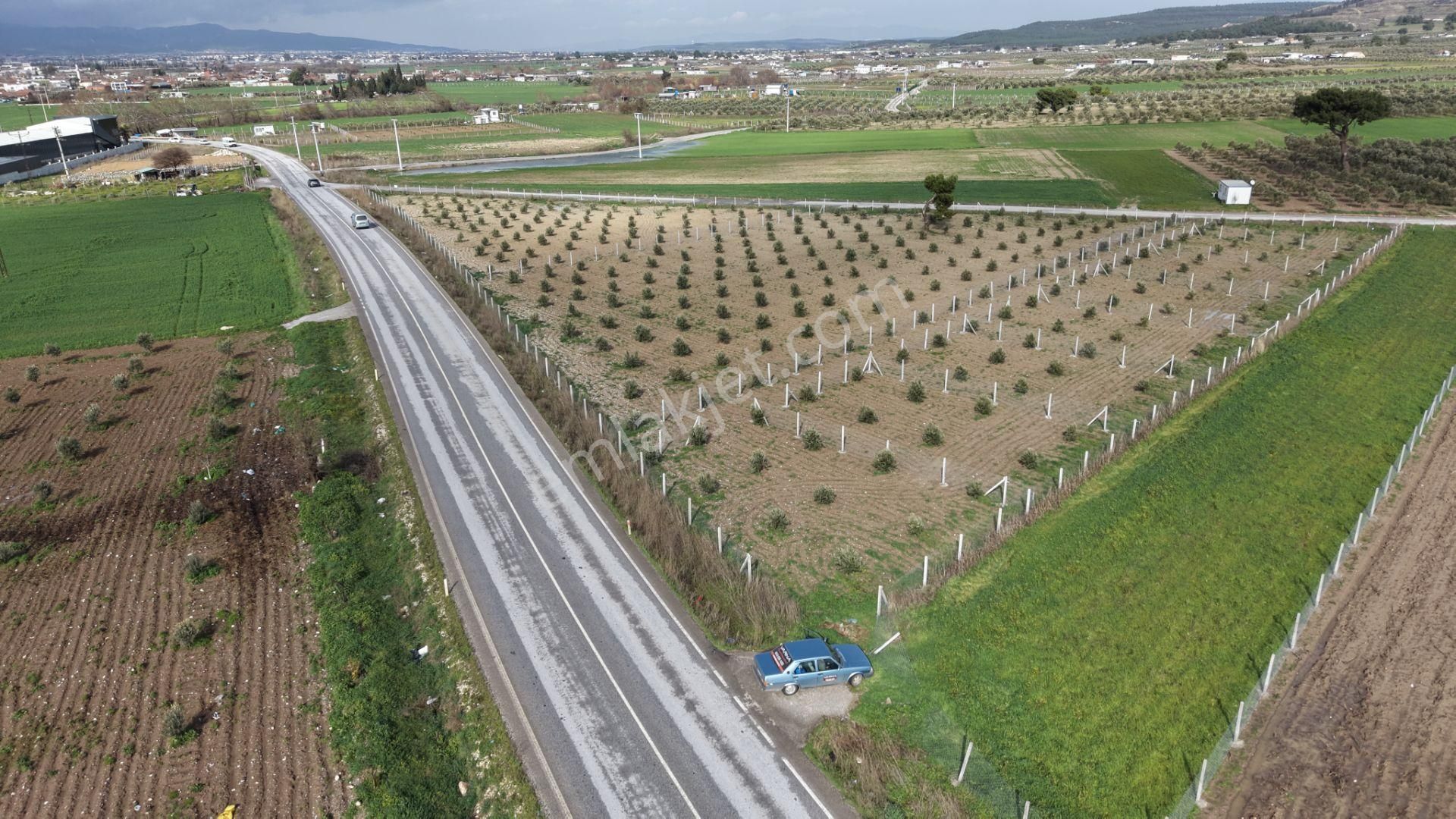 Tekelide Anayol Cepheli Satılık Tapulu 260 M2 İzbana Yakın Bahçeler - Görsel 5