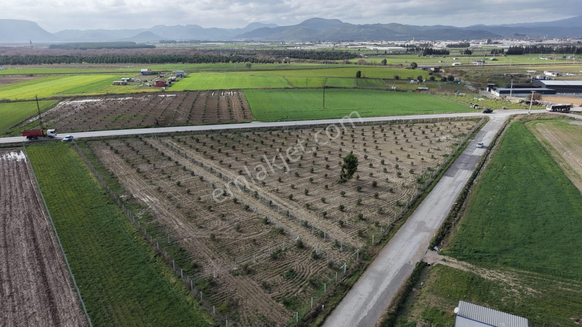 Tekelide Anayol Cepheli Satılık Tapulu 260 M2 İzbana Yakın Bahçeler - Görsel 8