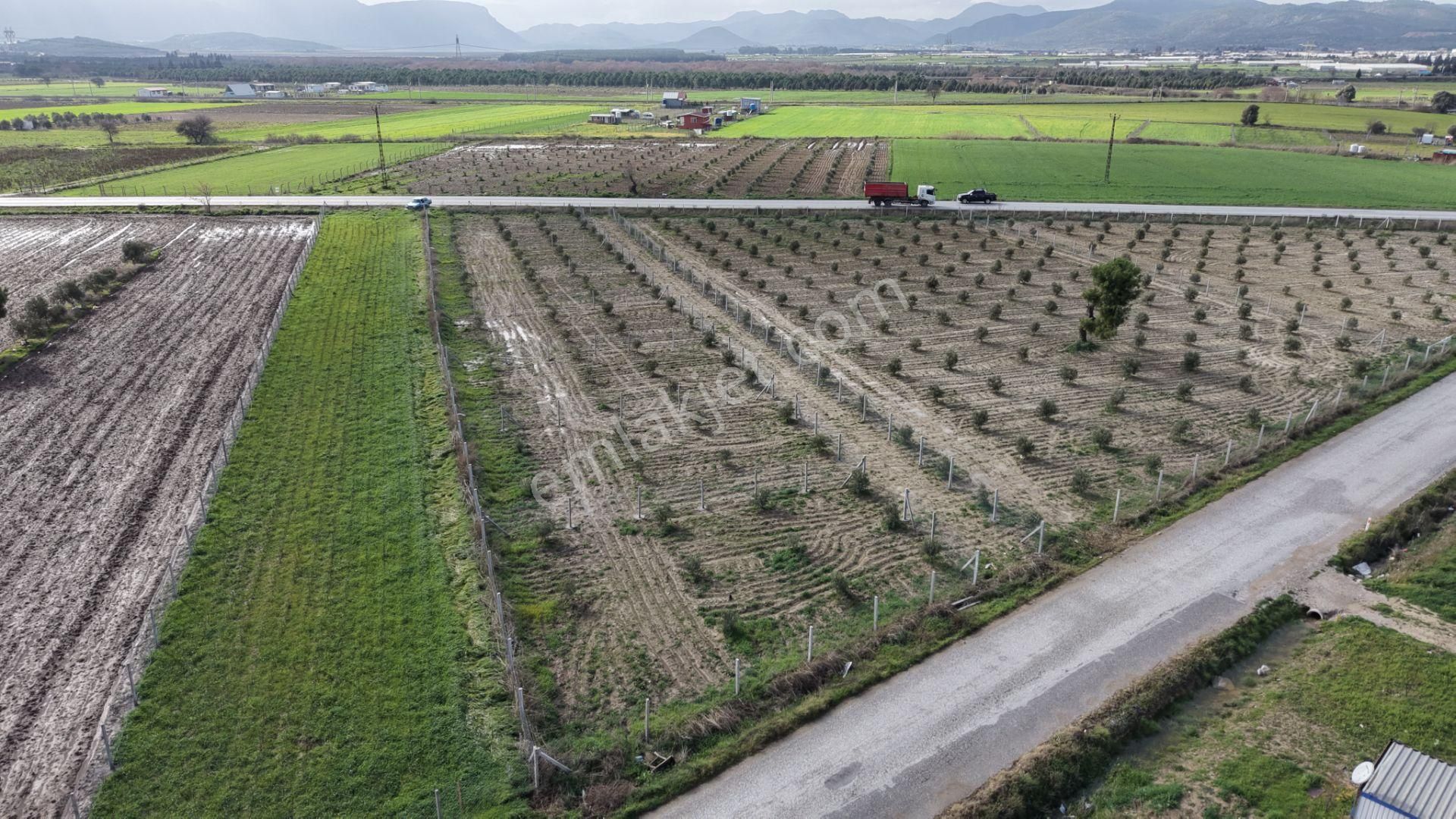 Tekelide Anayol Cepheli Satılık Tapulu 260 M2 İzbana Yakın Bahçeler - Görsel 9