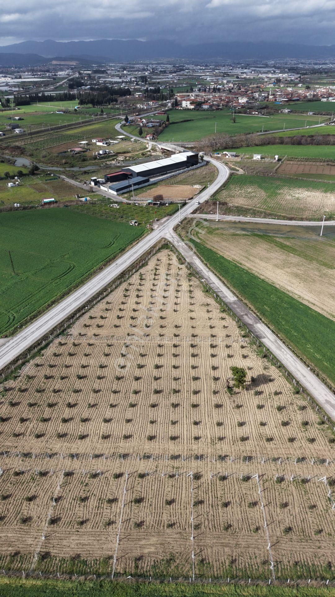 Tekelide Anayol Cepheli Satılık Tapulu 260 M2 İzbana Yakın Bahçeler - Görsel 23