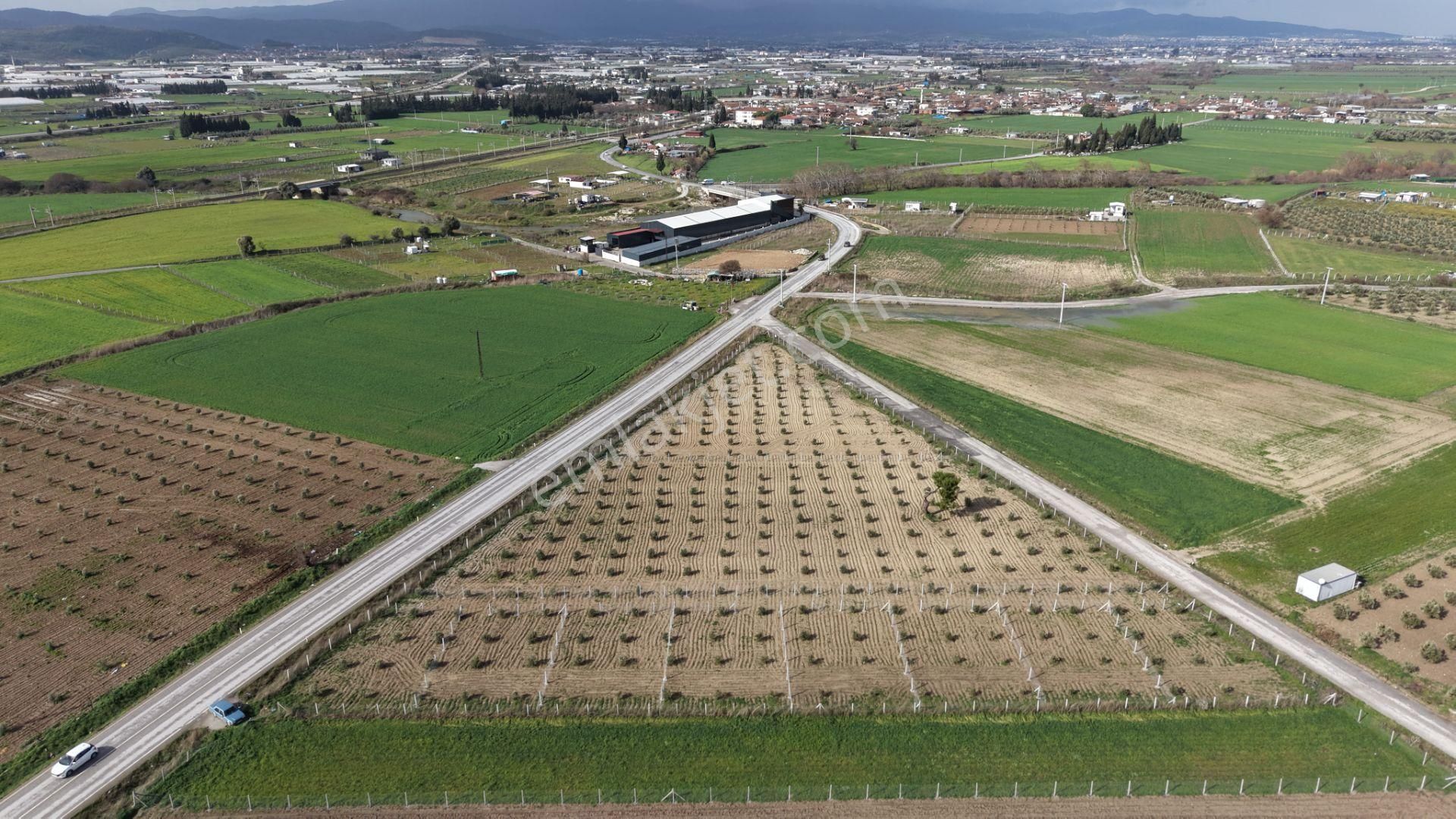 Tekelide Anayol Cepheli Satılık Tapulu 260 M2 İzbana Yakın Bahçeler - Görsel 4