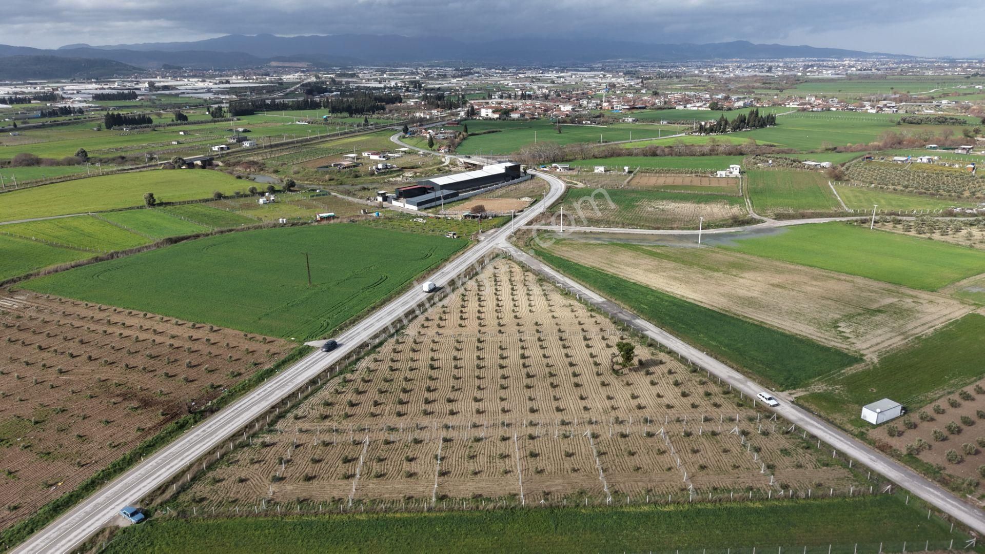 Tekelide Anayol Cepheli Satılık Tapulu 260 M2 İzbana Yakın Bahçeler