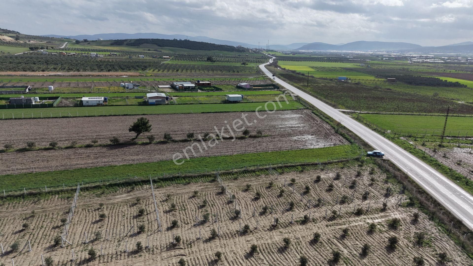Tekelide Anayol Cepheli Satılık Tapulu 260 M2 İzbana Yakın Bahçeler - Görsel 11