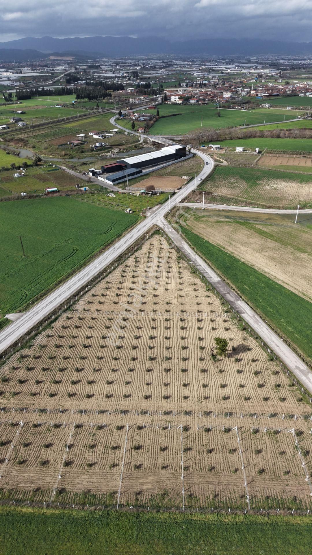 Tekelide Anayol Cepheli Satılık Tapulu 260 M2 İzbana Yakın Bahçeler - Görsel 24