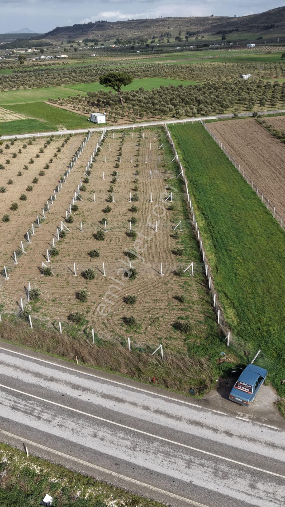 Tekelide Anayol Cepheli Satılık Tapulu 260 M2 İzbana Yakın Bahçeler - Görsel 17