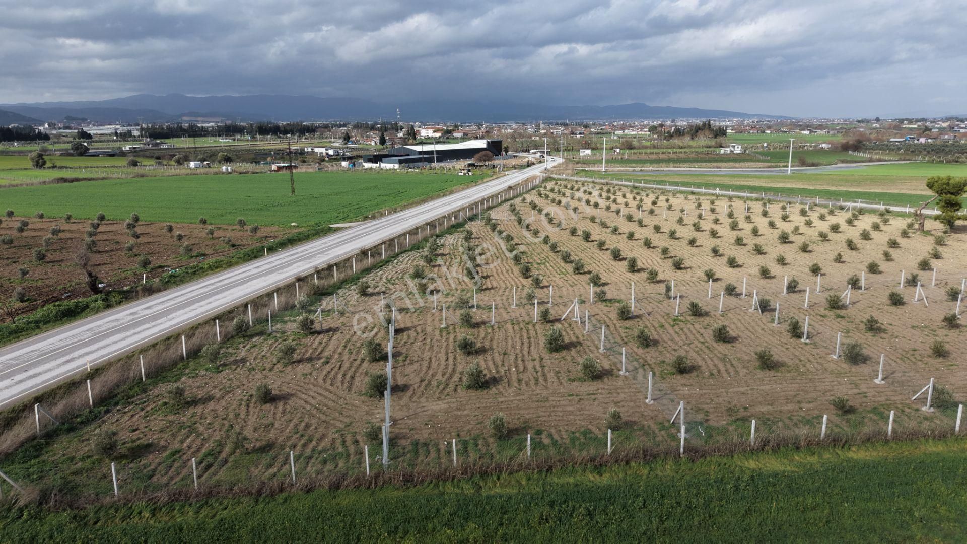 Tekelide Anayol Cepheli Satılık Tapulu 260 M2 İzbana Yakın Bahçeler - Görsel 14