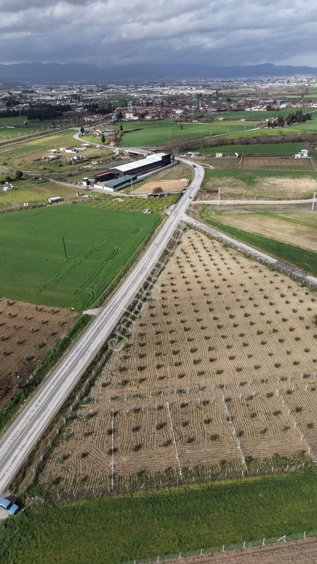 Tekelide Anayol Cepheli Satılık Tapulu 260 M2 İzbana Yakın Bahçeler - Görsel 21