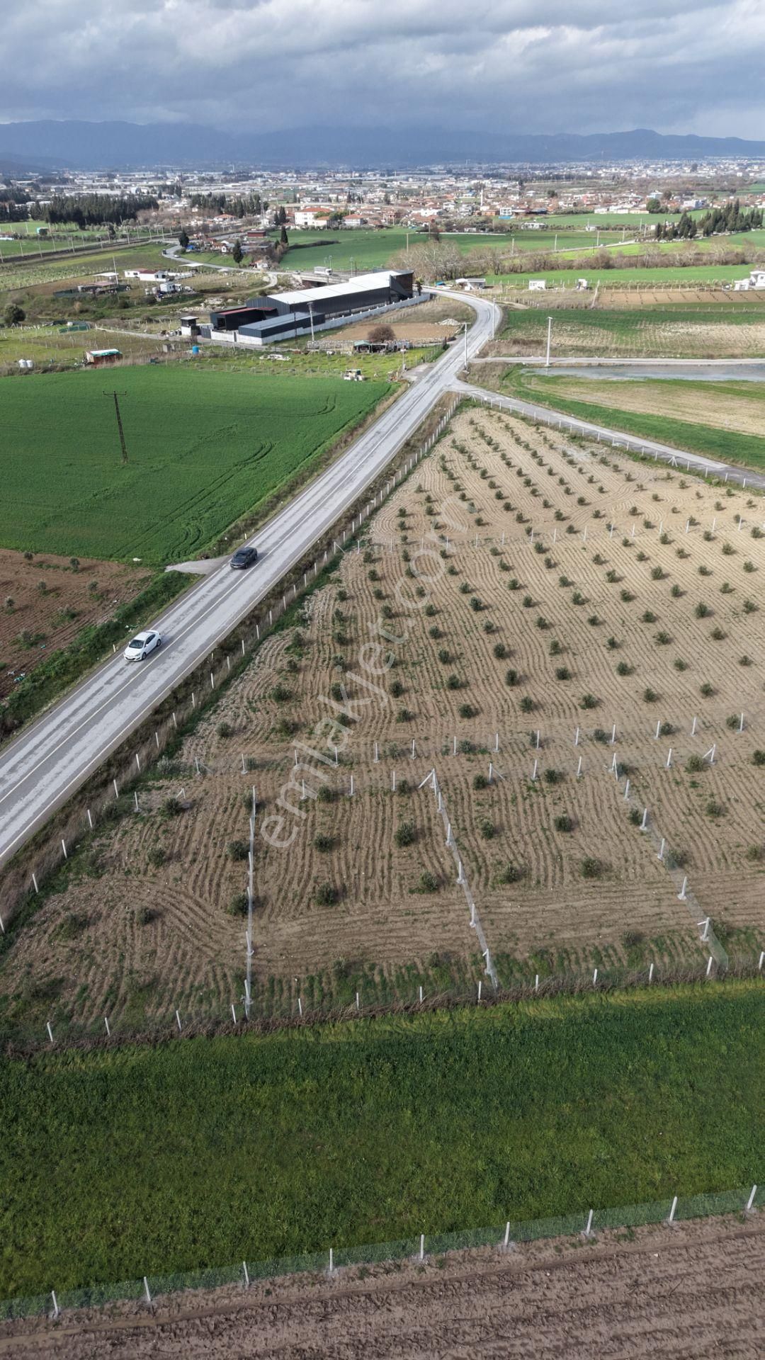 Tekelide Anayol Cepheli Satılık Tapulu 260 M2 İzbana Yakın Bahçeler - Görsel 16