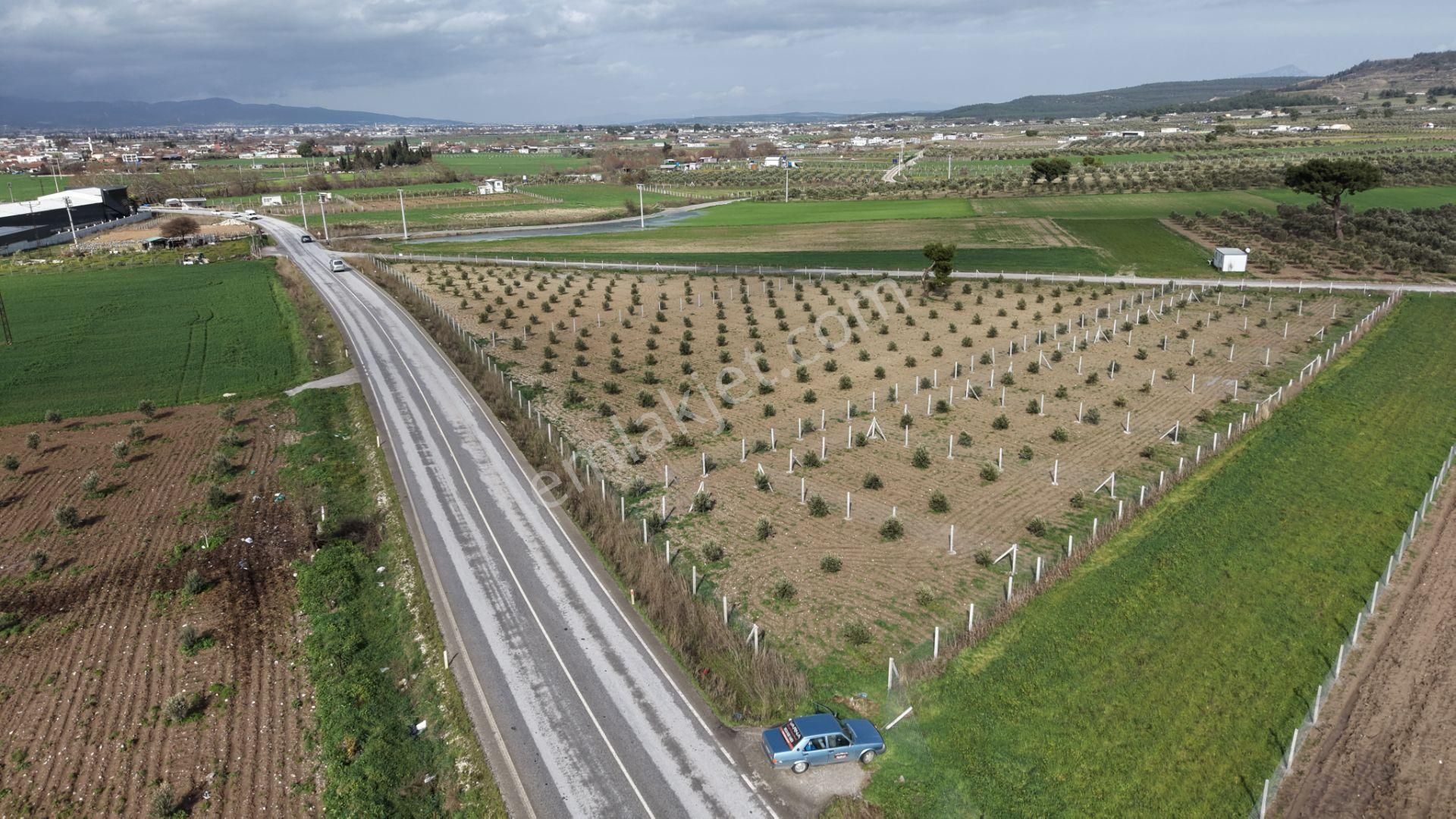 Tekelide Anayol Cepheli Satılık Tapulu 260 M2 İzbana Yakın Bahçeler - Görsel 6
