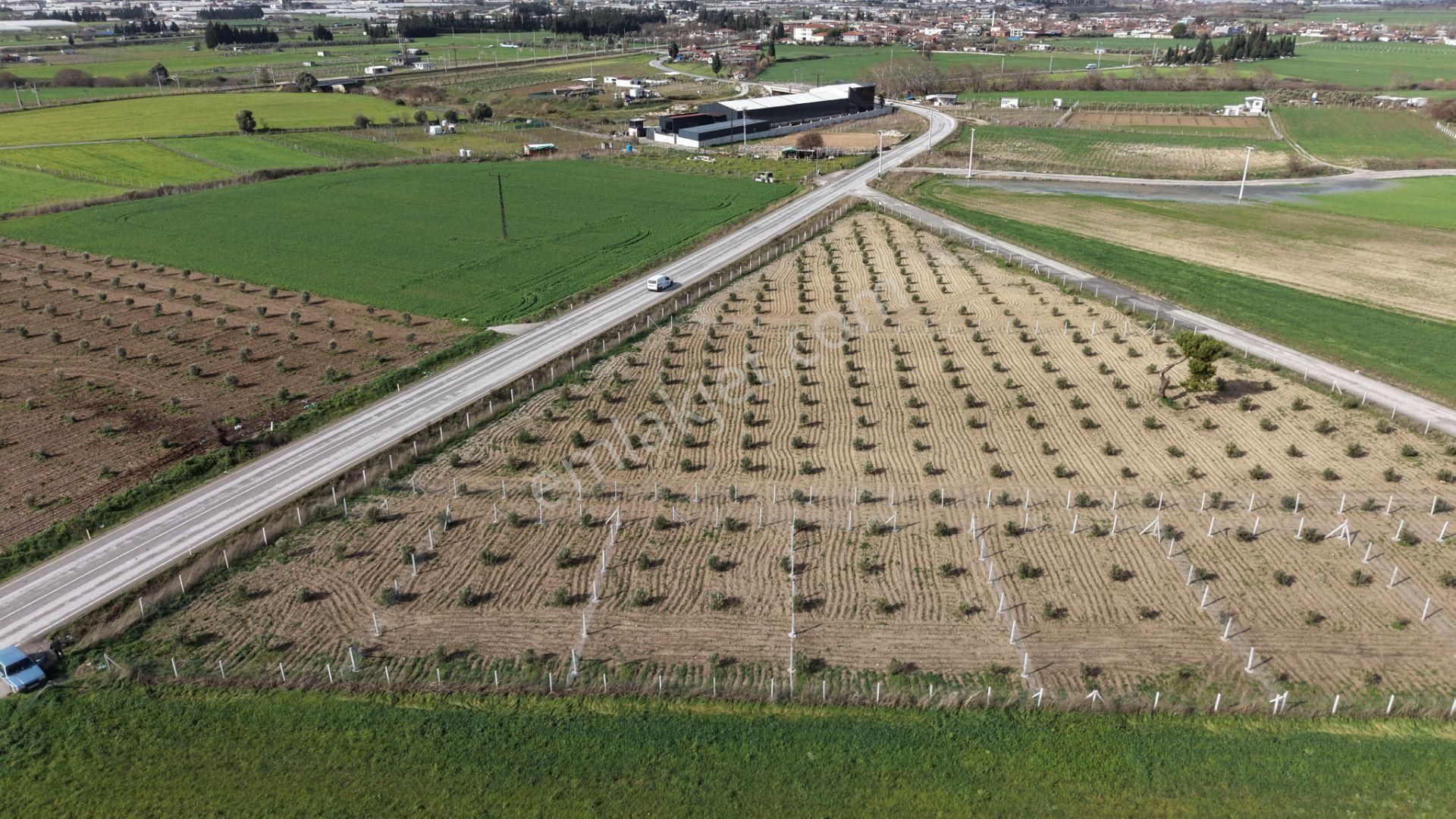Tekelide Anayol Cepheli Satılık Tapulu 260 M2 İzbana Yakın Bahçeler - Görsel 2