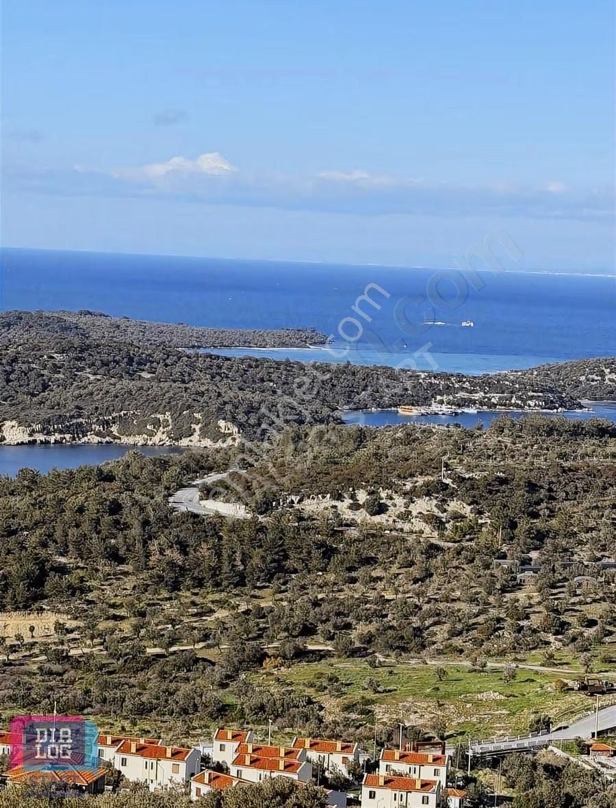 Dikili Bademli Hayıtlı Koyunda Deniz Manzaralı Eşyalı Yazlık - Görsel 4