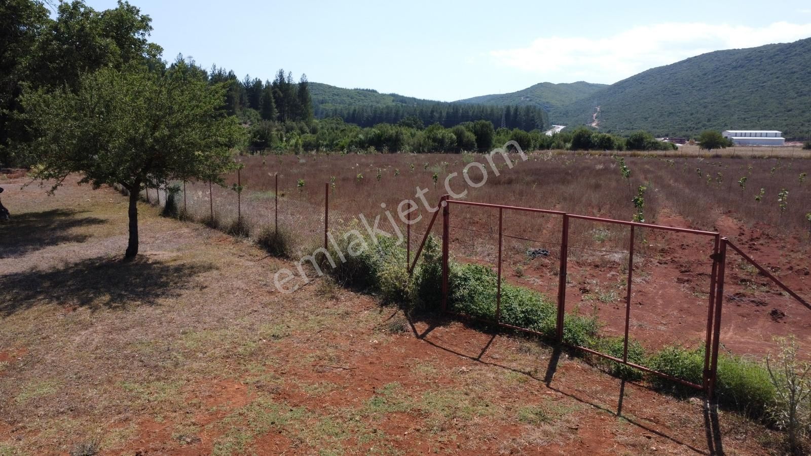 Vıp Gayrimenkul ' Den Kaş - Demre Arası Anayola Sıfır Arazi - Görsel 19