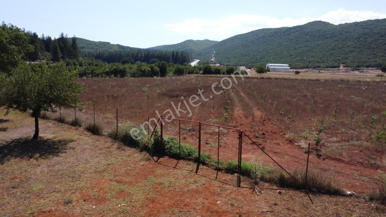 Vıp Gayrimenkul ' Den Kaş - Demre Arası Anayola Sıfır Arazi - Görsel 9