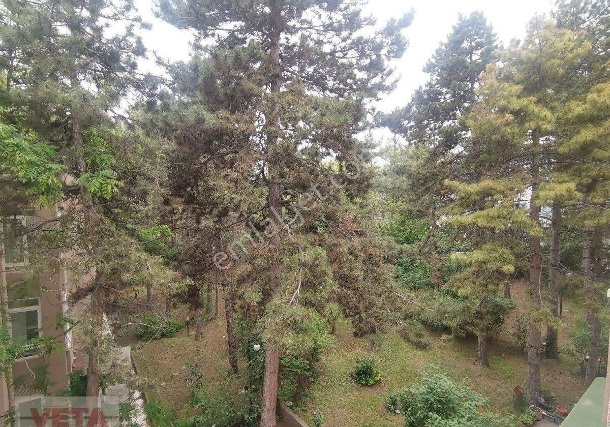 Oran'da Kiralık Konut, 3+1 100 M2, Çok Merkezi Konumda - Görsel 14