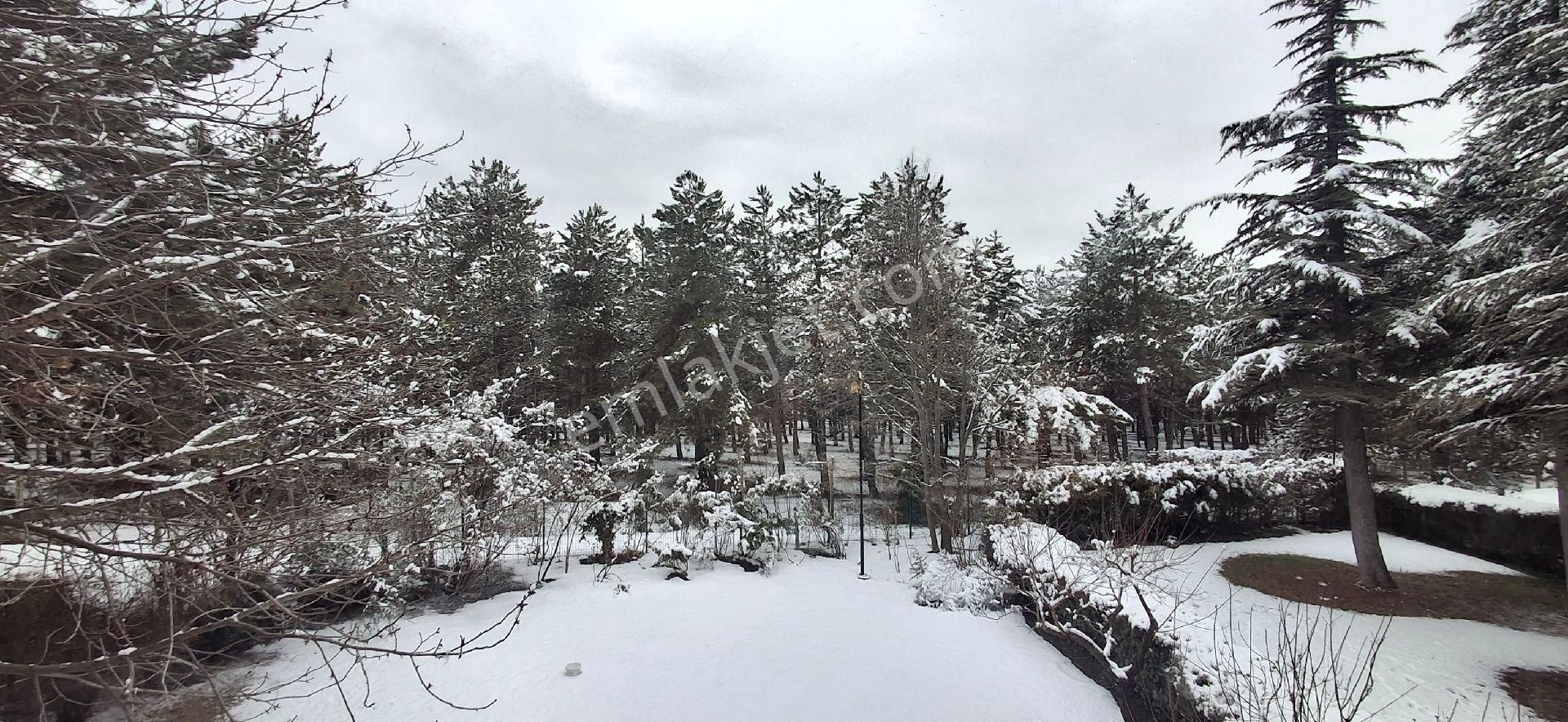 Oran'da Odtü Ormanına Sıfır Kiralık Konut 4+1 Net 150 M2