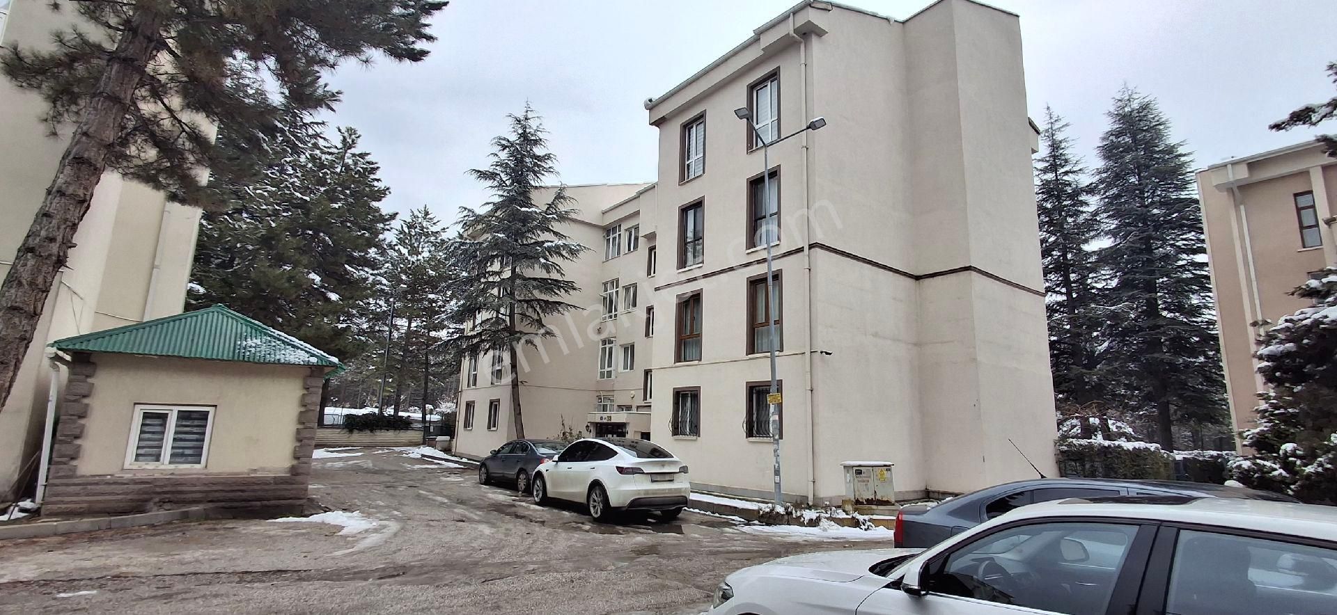 Oran'da Odtü Ormanına Sıfır Kiralık Konut 4+1 Net 150 M2 - Görsel 3