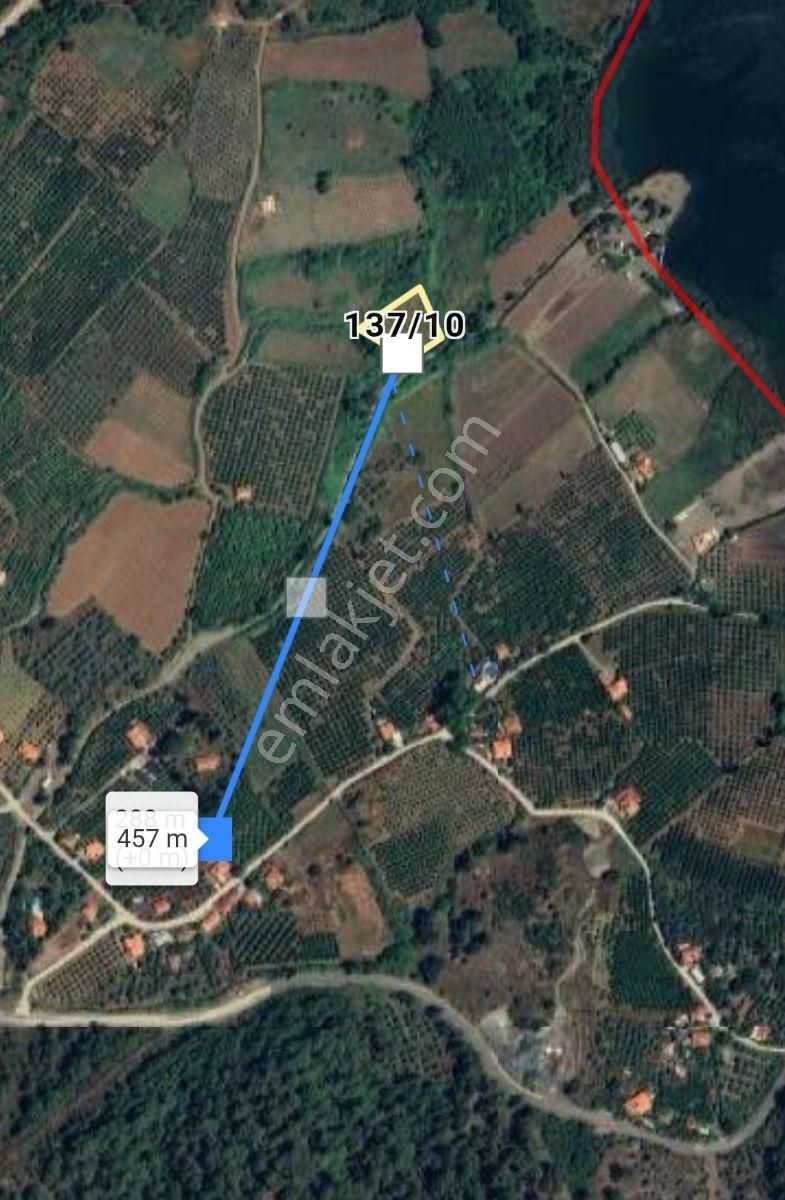 Köyceğiz Sultaniye'de Değerli Konumda 2285m2 Satılık Tarla...! - Görsel 3