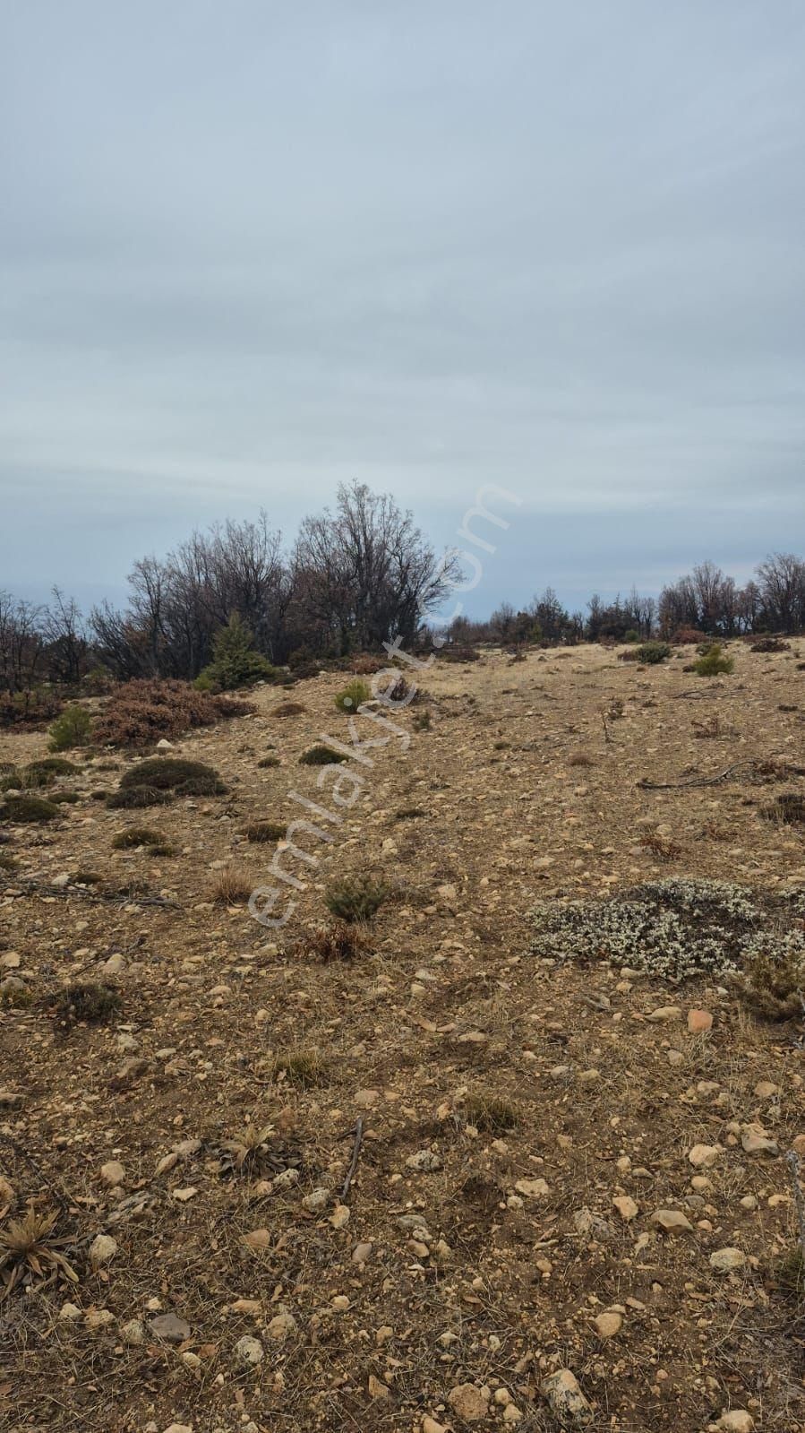 Satılık Yatırımlık - Görsel 3