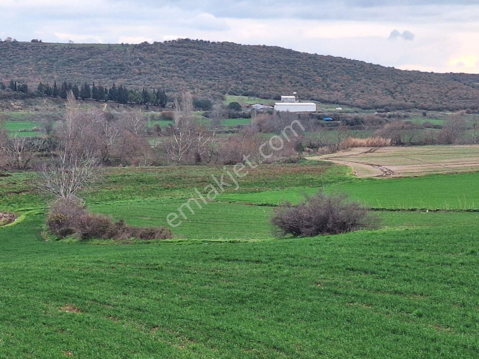 Karacabey Karasu Da Satılık Yatırımlık Arazi - Görsel 2