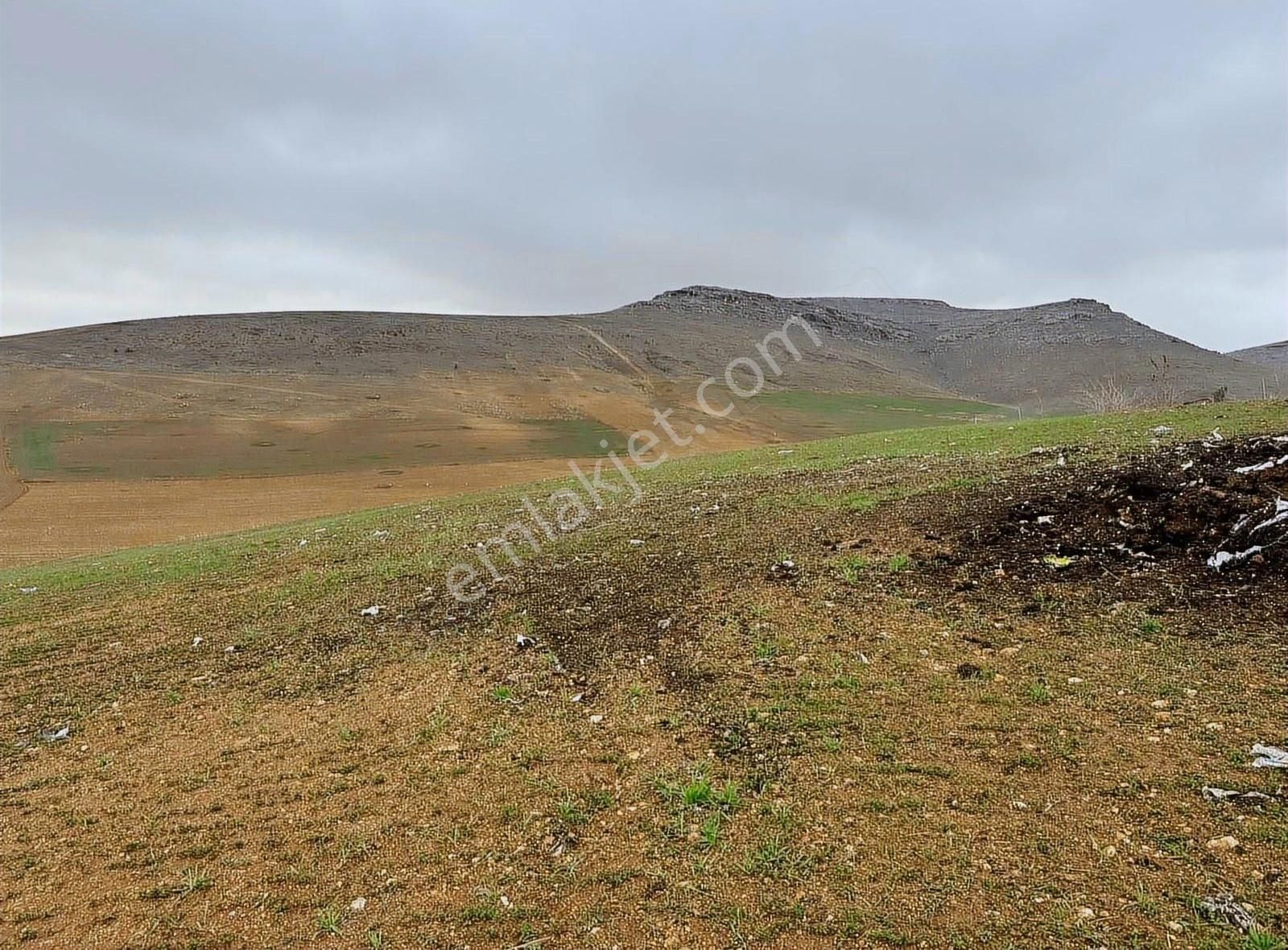 Satılık Arsa - Görsel 2