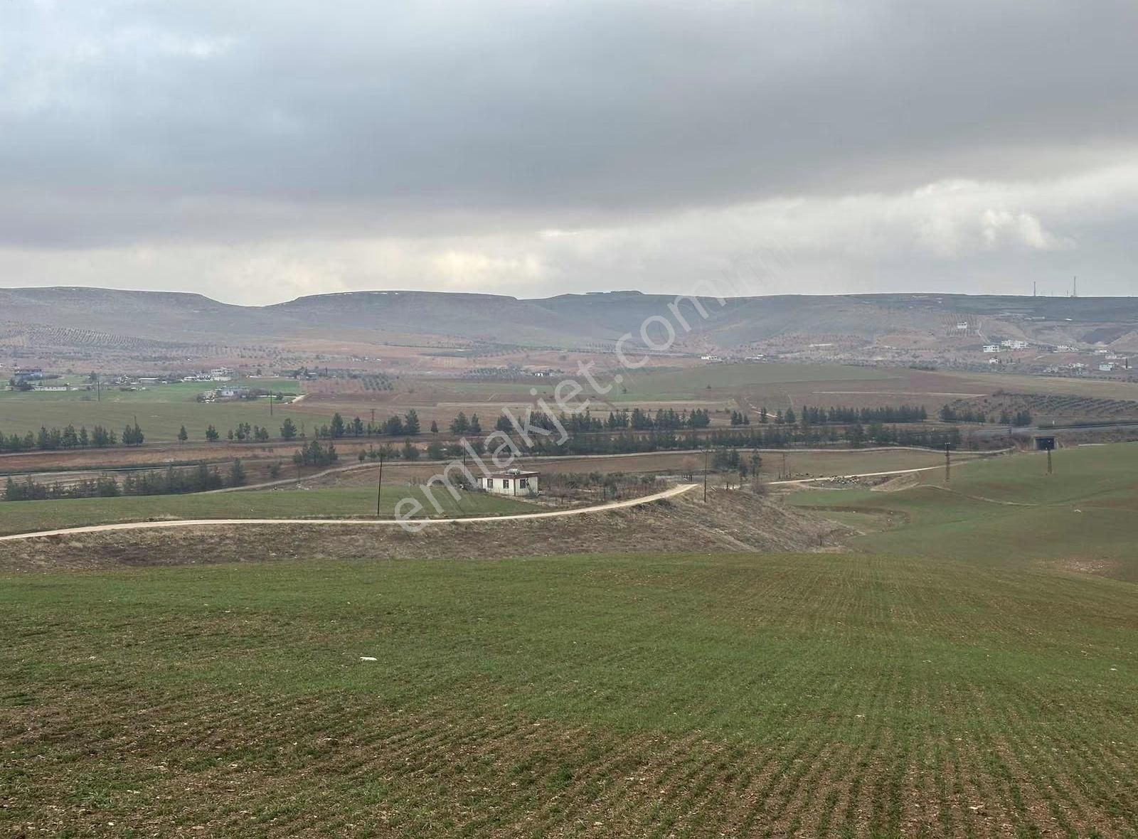 Satılık Arsa - Görsel 14