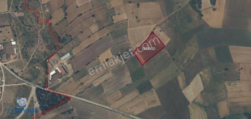 Biga Yeniçiftlikte 7.545 M² Yatırımlık Tarla | Karayoluna Yakın - Görsel 4