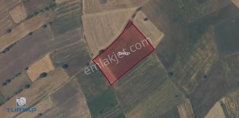 Biga Yeniçiftlikte 7.545 M² Yatırımlık Tarla | Karayoluna Yakın - Görsel 11