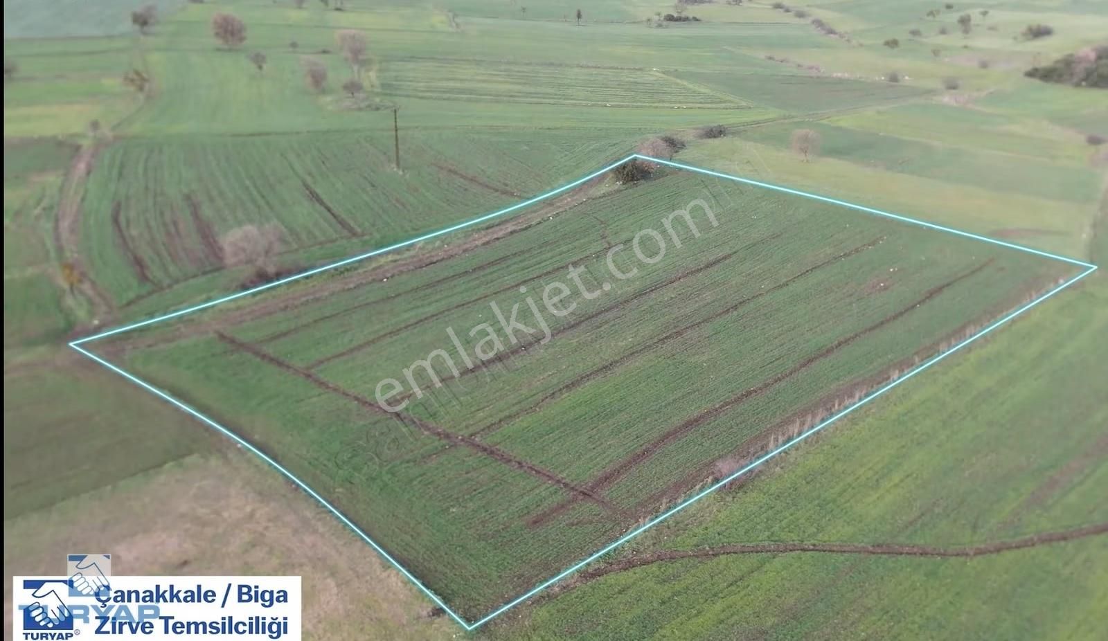 Biga Yeniçiftlikte 7.545 M² Yatırımlık Tarla | Karayoluna Yakın