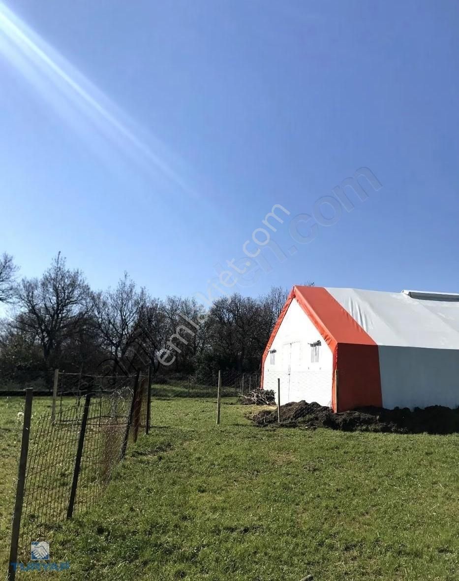 Çanakkale Biga İskenderköy'de Fırsat Satılık Çiftlik - Görsel 4