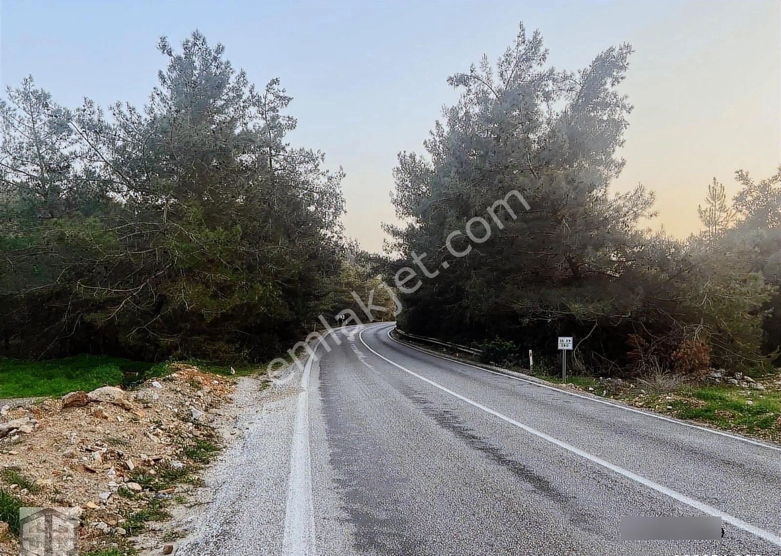 İzmir Selçuk Yoncaköy 12000m2 Zeytinlik - Görsel 19