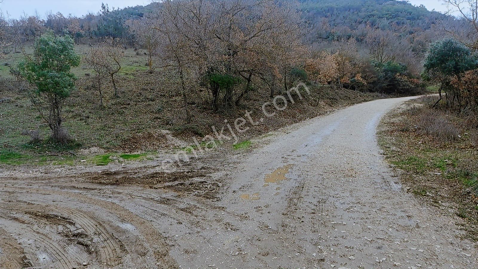 Bursa Nilüfer Kayapa Da 1150 M2 Satılık Arazi - Görsel 3