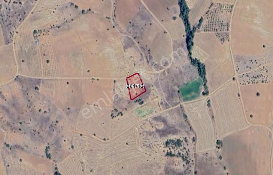 Karaman Merkez Muratdede Köyünde 1.970 M² Bağ Satılıktır