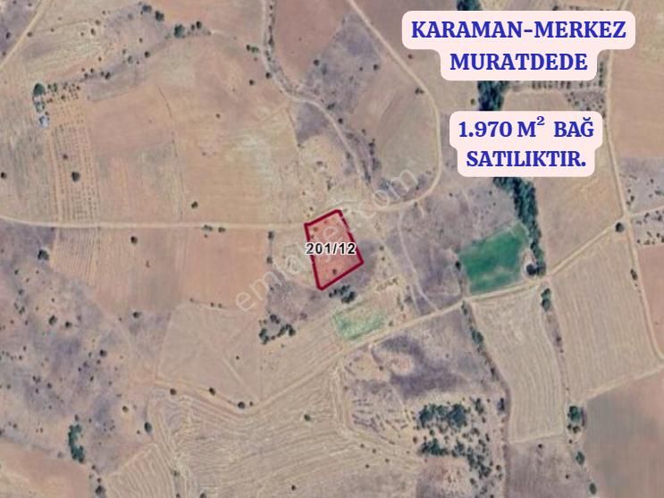 Karaman Merkez Muratdede Köyünde 1.970 M² Bağ Satılıktır - Görsel 2