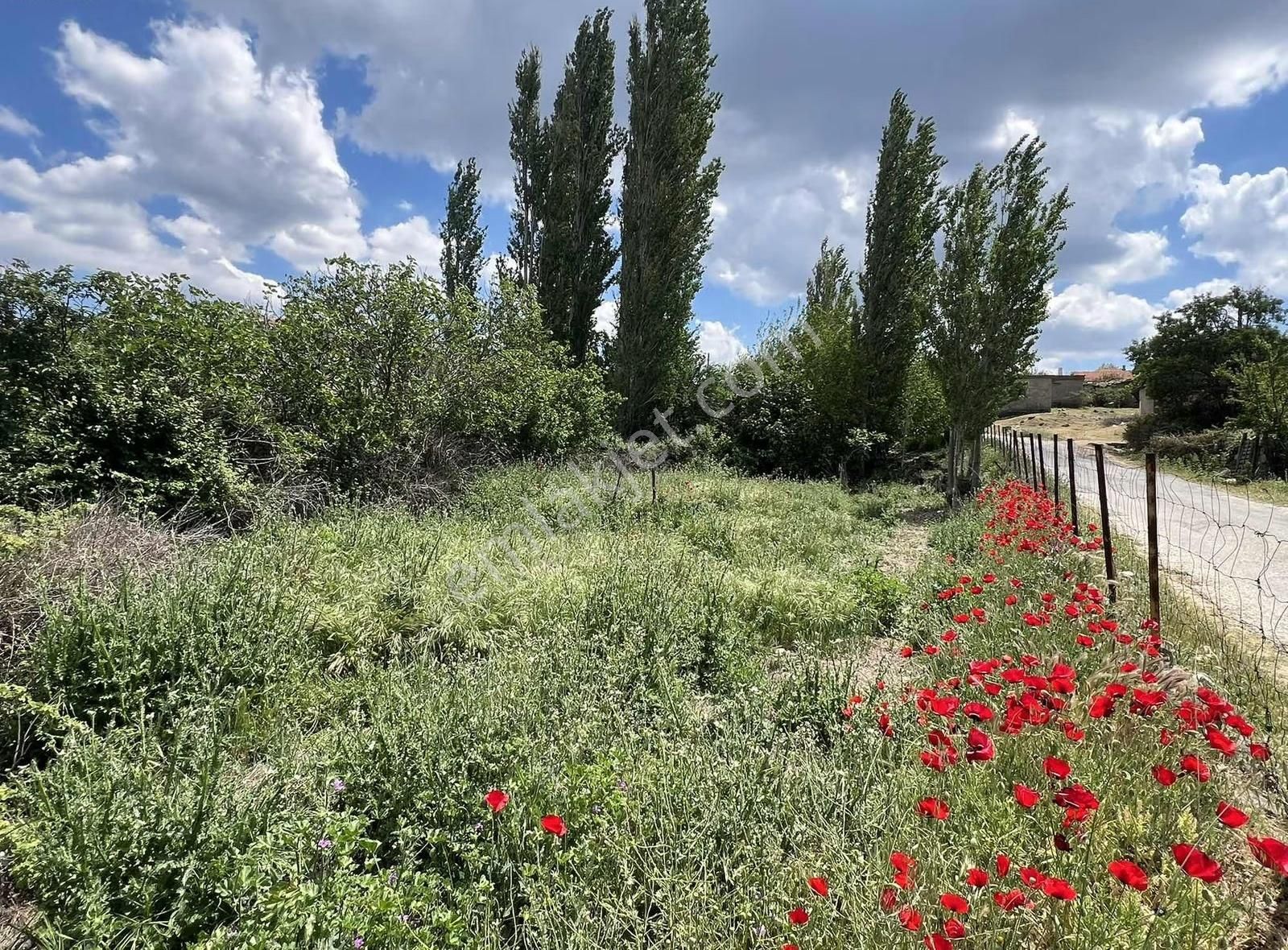 Ezine Yaylacık Köyünde Asfalt Cepheli, İmarlı, Yatırımlık Arsa