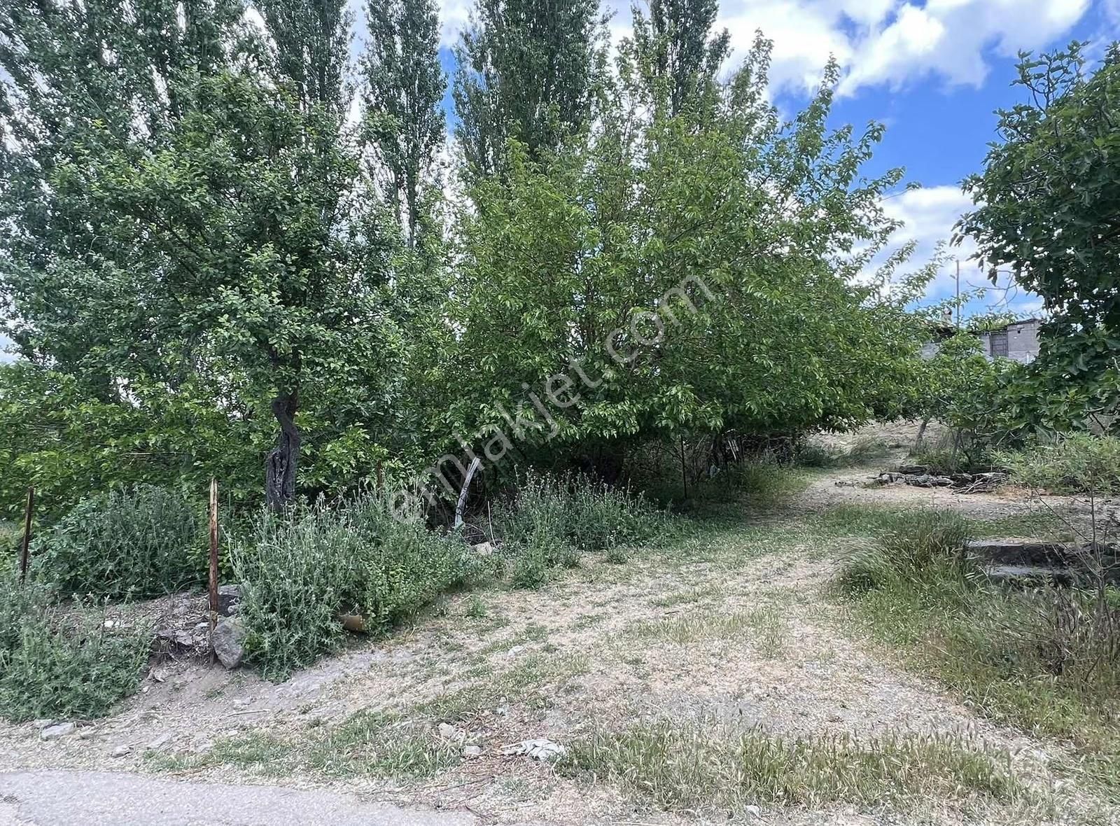 Ezine Yaylacık Köyünde Asfalt Cepheli, İmarlı, Yatırımlık Arsa - Görsel 19