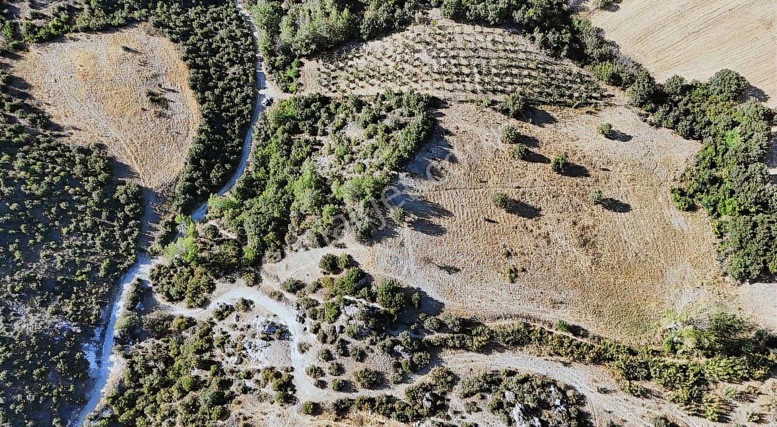 Çanakkale Ayvacık Misvak Mahallesi 3.800 M2 Arazi - Görsel 2