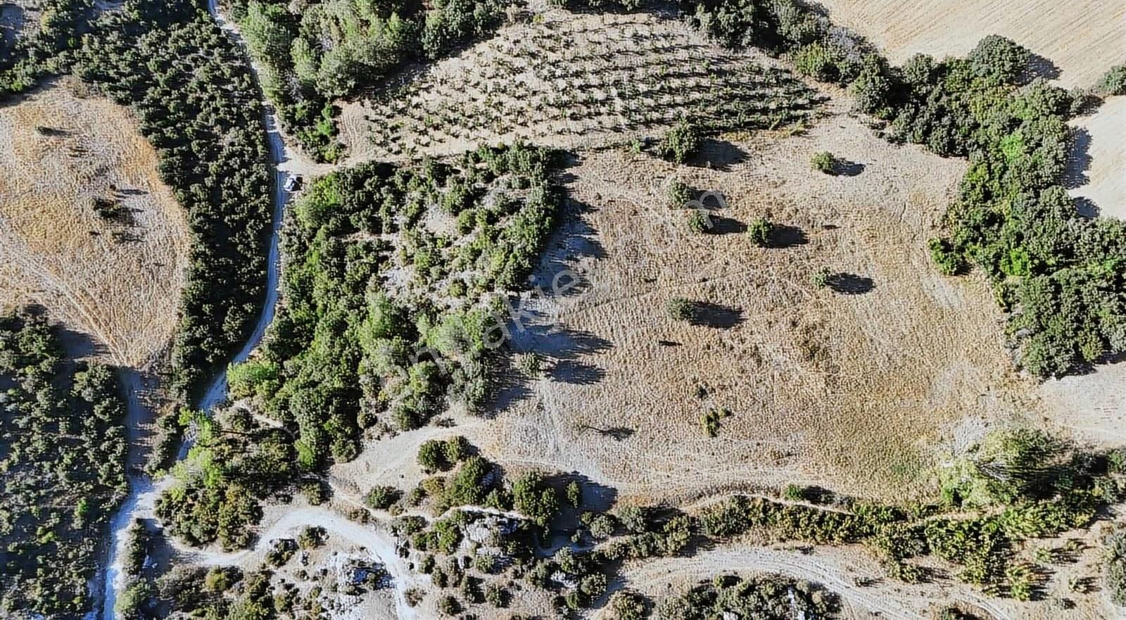 Çanakkale Ayvacık Misvak Mahallesi 3.800 M2 Arazi